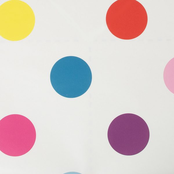 100103 DOTTY MULTI BRIGHT