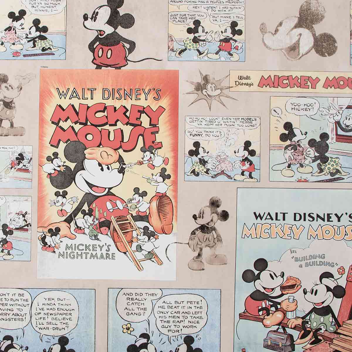 70-242 MICKEY VINTAGE EPISODE