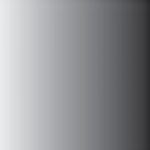 TRANSPARENT BLACK FB-3004